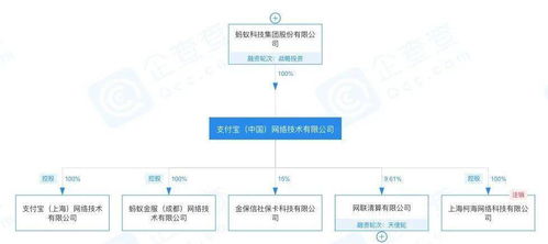 高管更迭背后的戰略調整 螞蟻集團原CEO退出多家公司法人引發的思考
